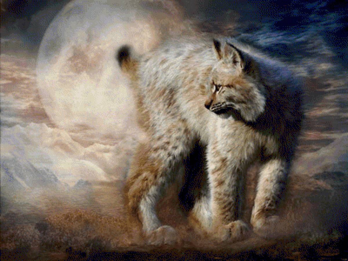 ДИКАЯ КОШКА - дикая кошка, природа, carol cavalaris - предпросмотр