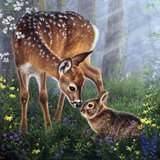 Оценено с кроликом. Кролик. Милота