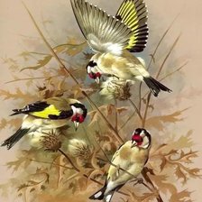 Схема вышивки «Птицы по картине Базиля Эде»