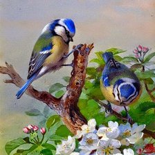 Схема вышивки «Синицы»