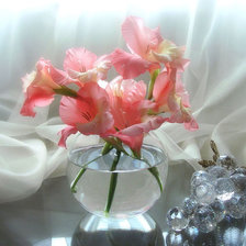 Схема вышивки «Нежный натюрморт»