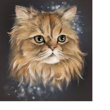 Схема вышивки «кот»