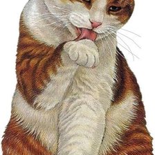 Схема вышивки «кот»