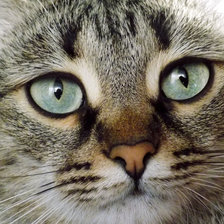 Схема вышивки «манечка»