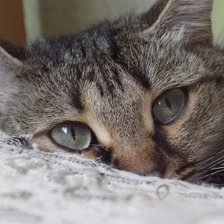 Схема вышивки «манечка»