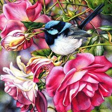 Схема вышивки «Серия Птицы»