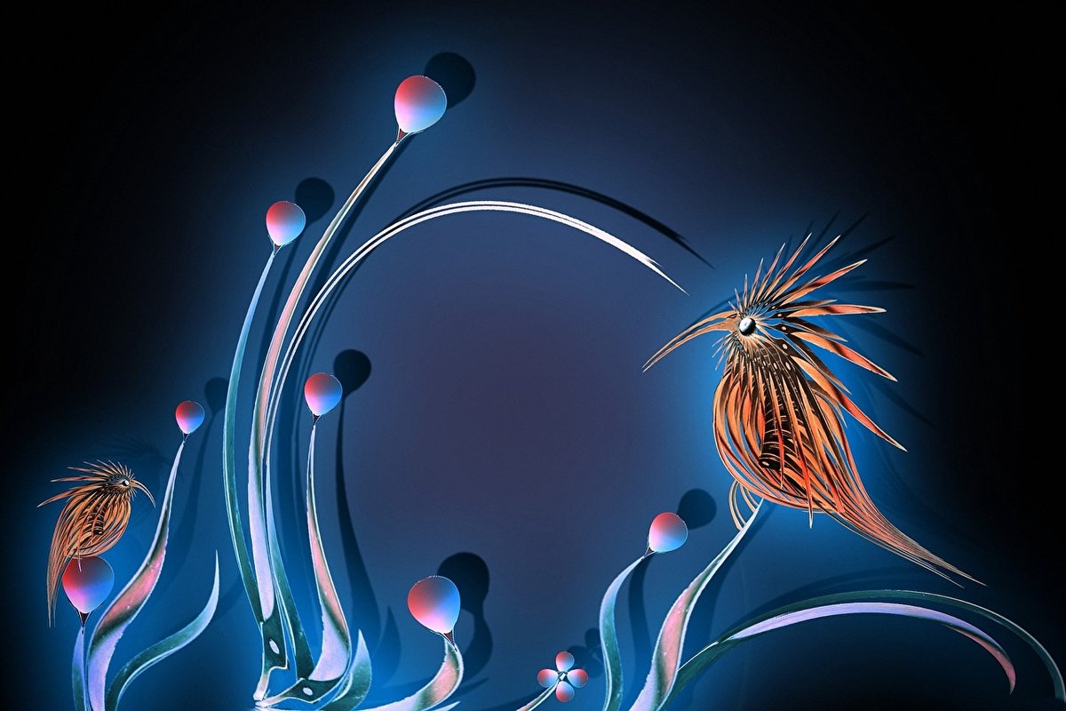 птицы - оригинал