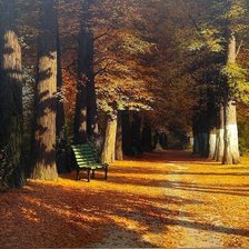 Схема вышивки «Золотая осень»