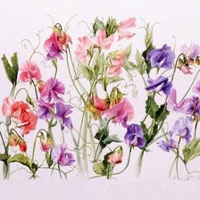 Схема вышивки «Душистый горошек»