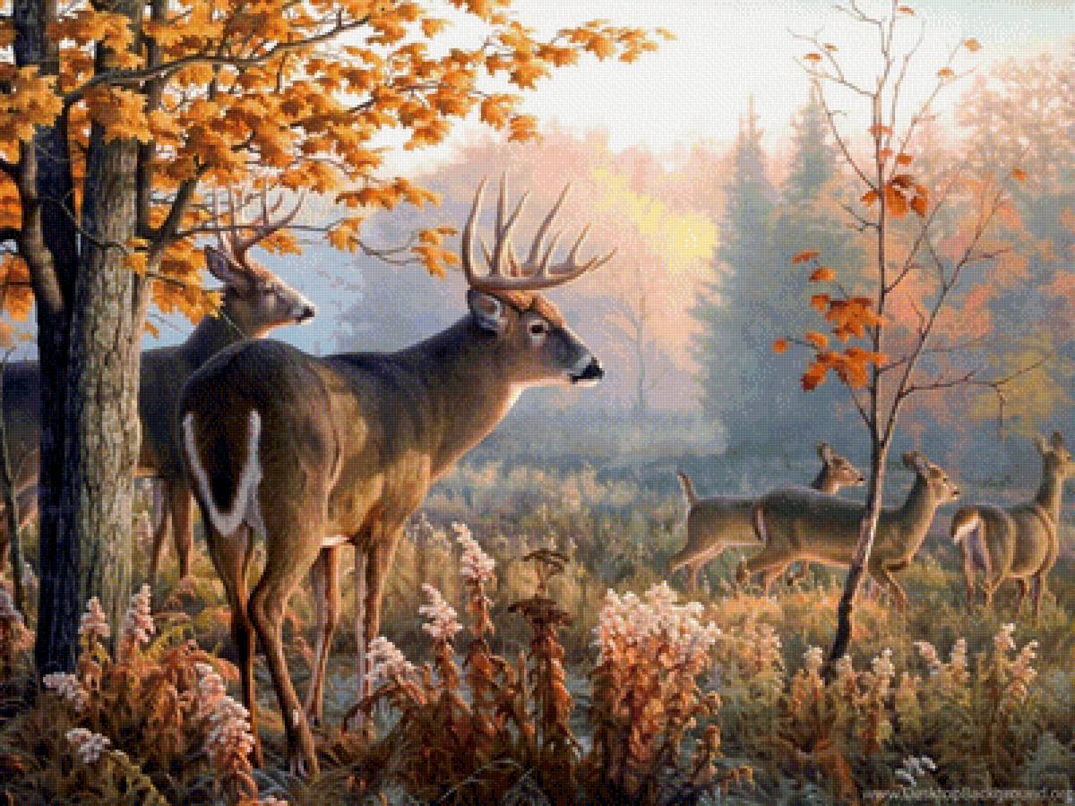 Олени - олень, природа, осень - предпросмотр