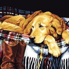 Схема вышивки «Собака»