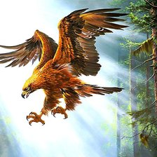 Схема вышивки «Орёл.»