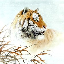 Схема вышивки «№1780869»