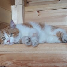 Схема вышивки «кузя»