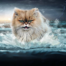 Схема вышивки «кот»