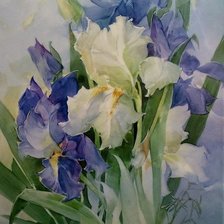 Схема вышивки «Белые и голубые ирисы»