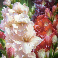 Схема вышивки «Гладиолусы»