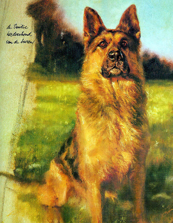 Собака - картина, животные, собака, овчарка, живопись - оригинал