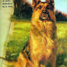 Схема вышивки «Собака»