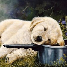 Схема вышивки «Ковш и щенок»