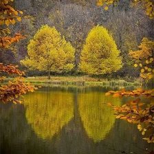 Схема вышивки «ОСЕНИЙ ПЕЙЗАЖ»