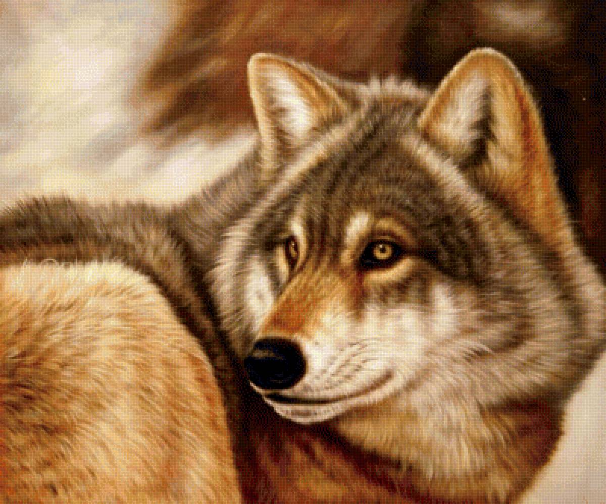 Волк - звери, животные - предпросмотр