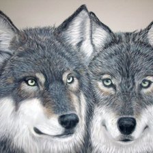 Схема вышивки «Волки»