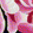 Предпросмотр схемы вышивки «piwonie» (№1781749)