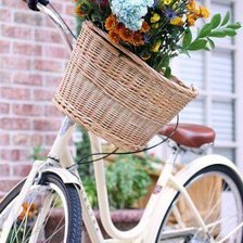 Схема вышивки «Велосипед»