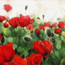 Схема вышивки «маки»