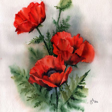 Схема вышивки «маки»