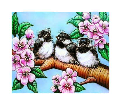 Серия "Птицы" - птицы, фауна - оригинал