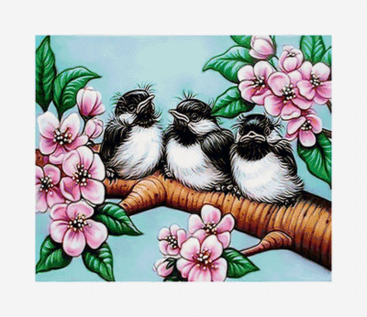 Серия "Птицы" - птицы, фауна - предпросмотр