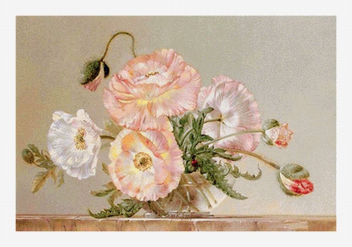 Серия "Маки". - букет, цветы, флора, маки - предпросмотр