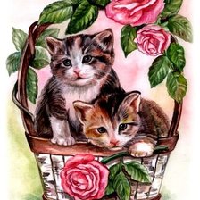 mačiatka v košíku