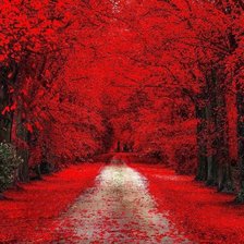 Схема вышивки «Красная осень»