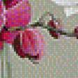 Предпросмотр схемы вышивки «Орхидеи» (№1782975)