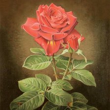 Схема вышивки «№1782991»