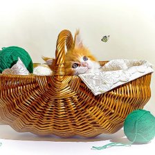 Схема вышивки «№1783113»