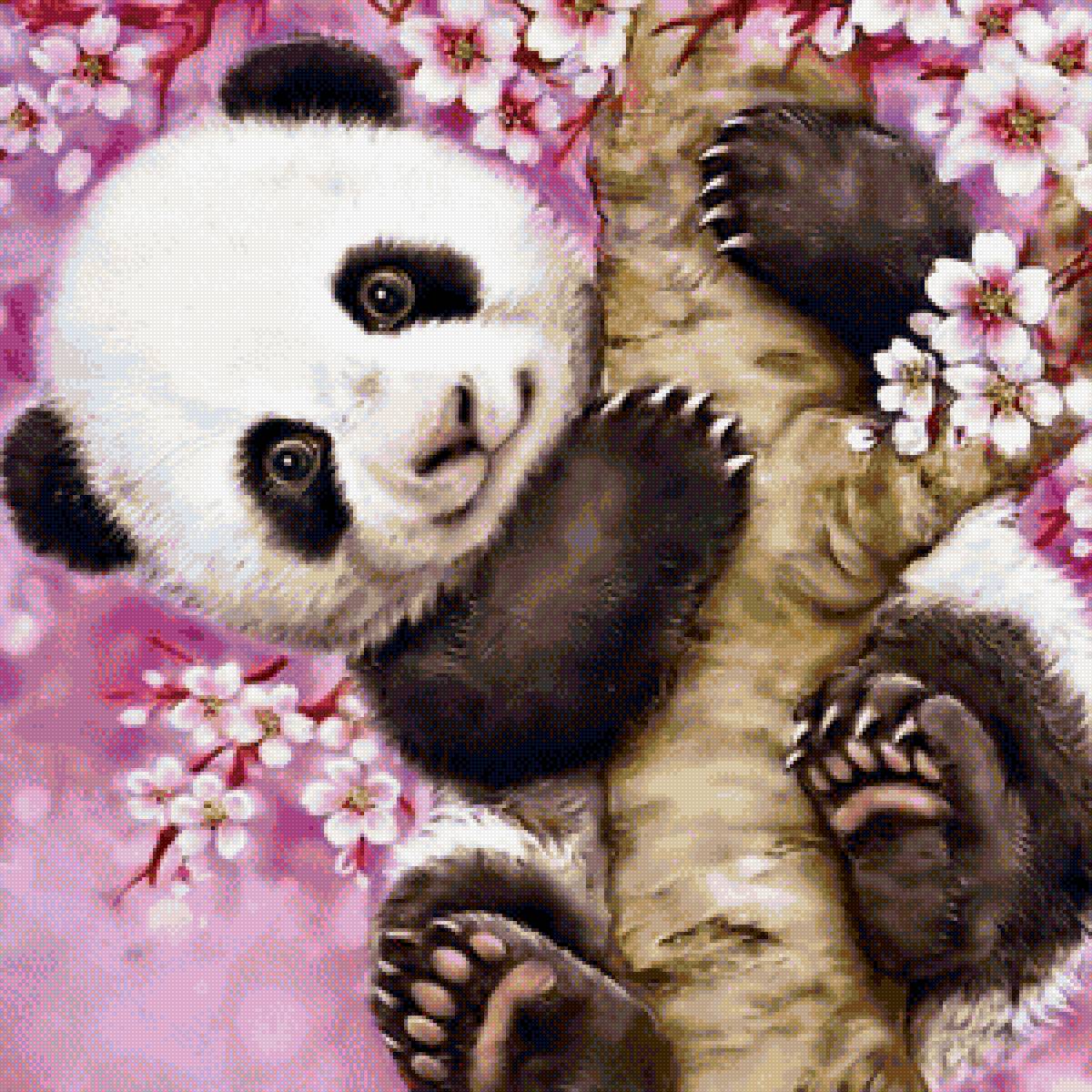 панда - предпросмотр