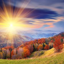 Схема вышивки «Природа»