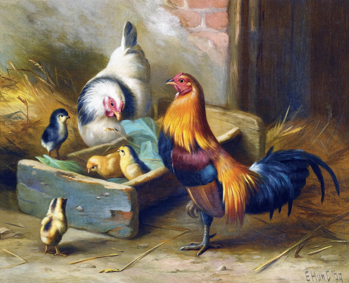 Куры и цыплята - домашние птицы, куры, деревня, цыплята - оригинал