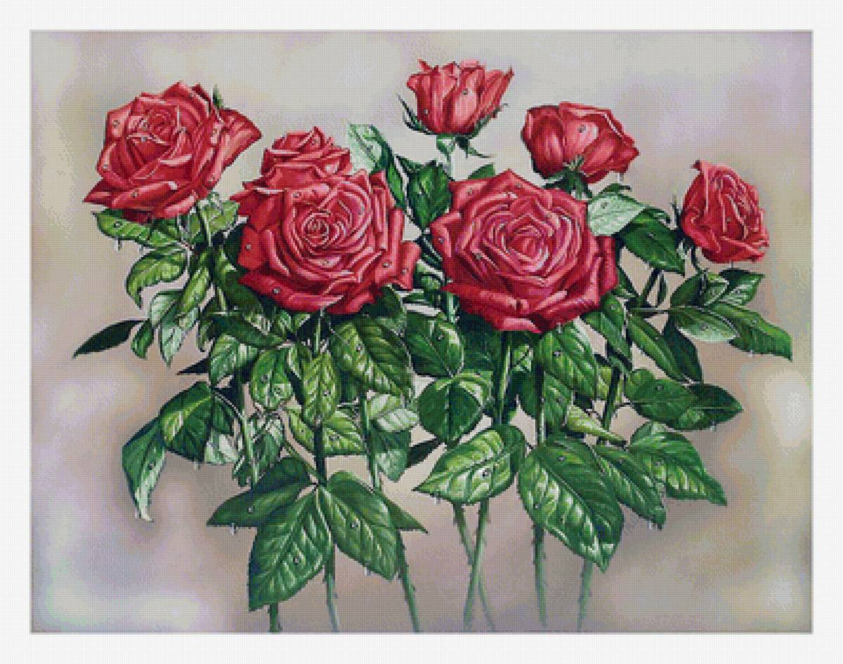 Серия "Розы". - розы, цветы, флора - предпросмотр