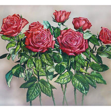 Схема вышивки «Серия "Розы".»