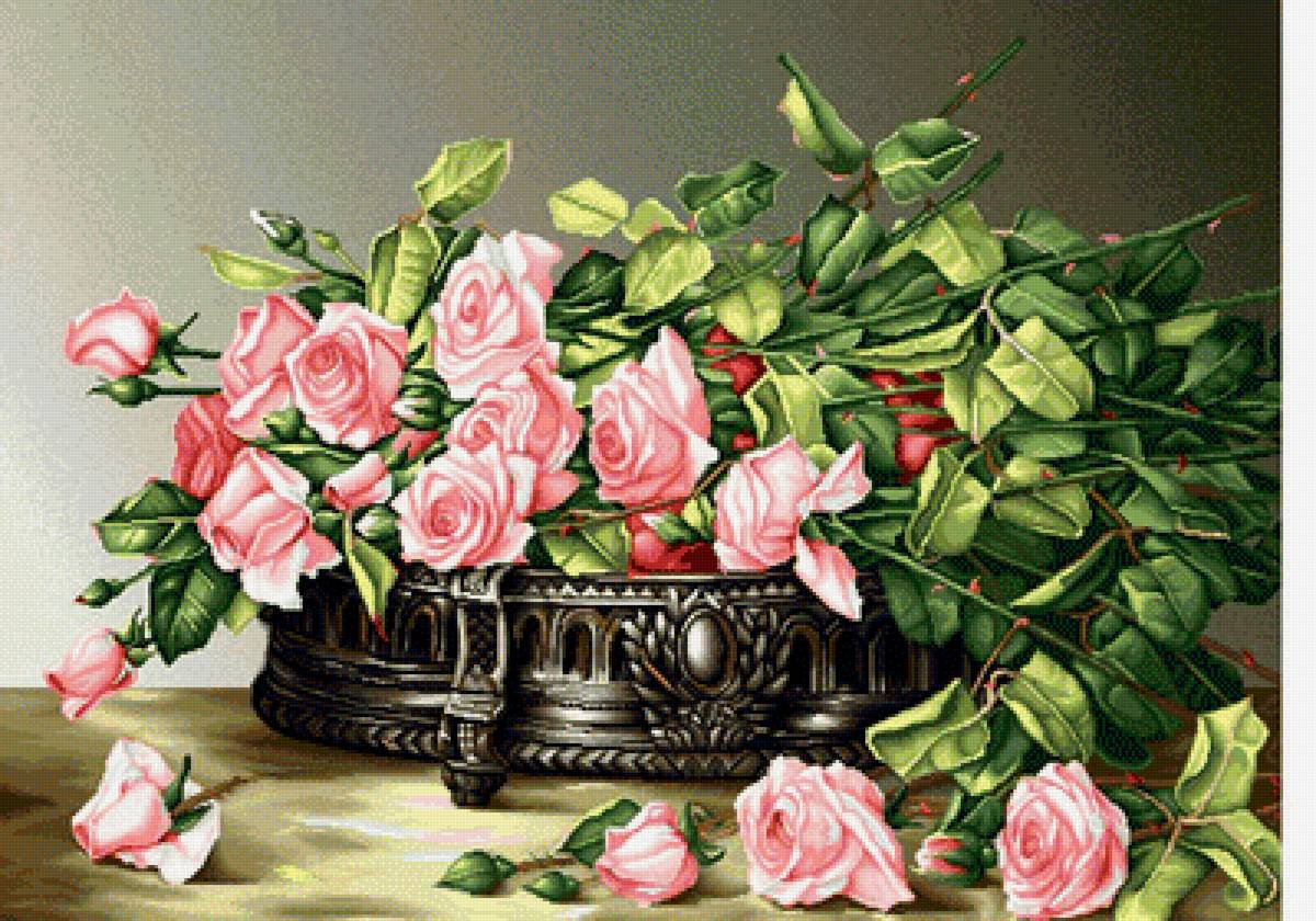 Розы - розовые розы, розовые цветы, цветы - предпросмотр