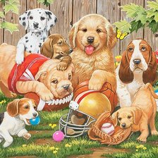 Схема вышивки «собаки»