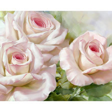 Схема вышивки «Серия "Розы".»