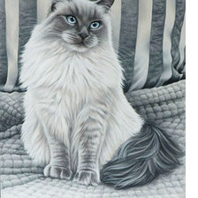 Схема вышивки «Котейка»