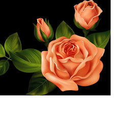 Схема вышивки «Розы»