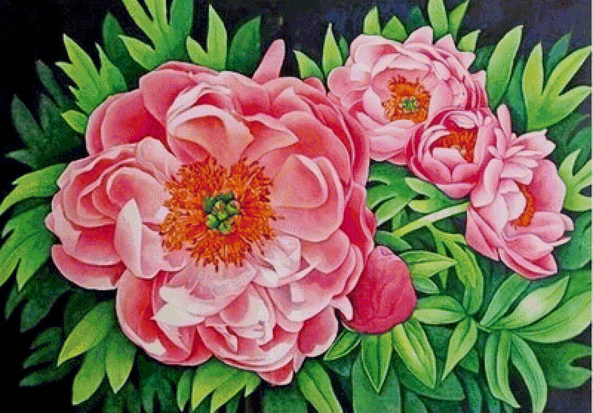 цветы - предпросмотр